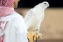The Saudi Falcon Auction 2025: Tradition, Prestige, and the Record-Breaking White Gyr Falcon