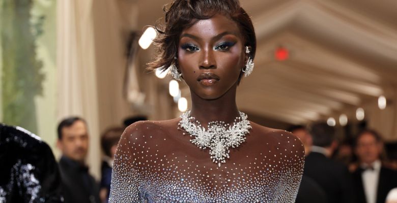 From a Viral Photo to Global Fame: The Inspiring Journey of Anok Yai