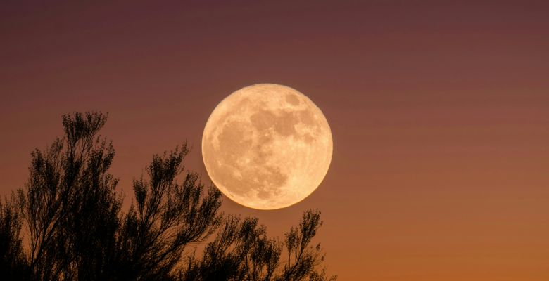 Does the Full Moon Really Affect Our Physical and Mental Health?