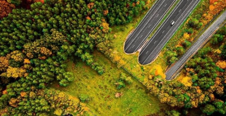 When Architecture Listens: Designing Spaces with Empathy, Care, and Humanity