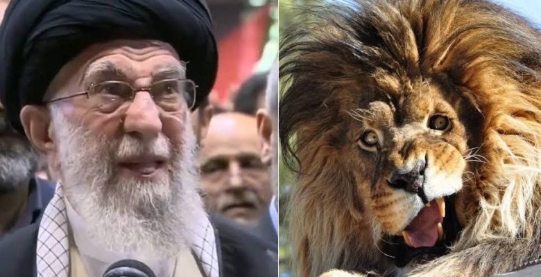 Serious Humor: Laughing at Reality Without Escaping It