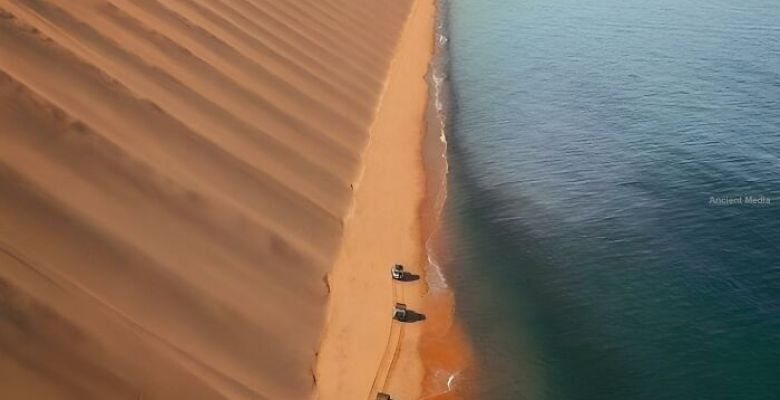 Unearthing the Past: How New Discoveries Are Reshaping Our Understanding of Human History