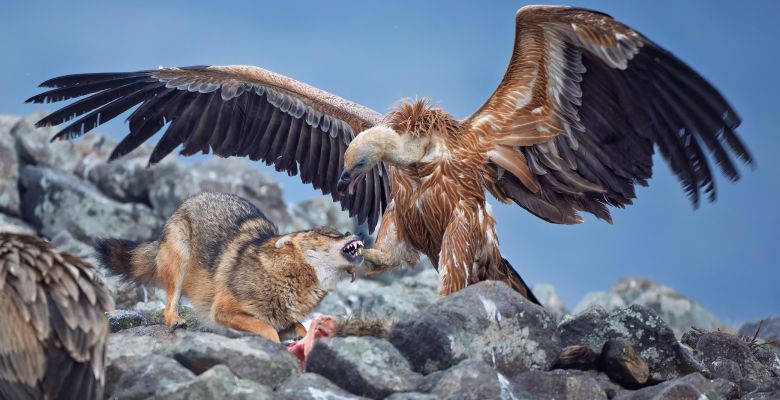 Sony World Photography Awards 2026: A New Vision for the World